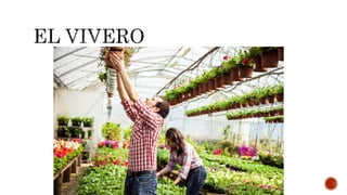 Lugares de la ciudad 2