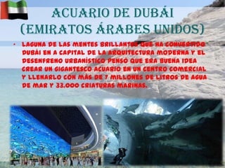 Acuario De Dubái
(Emiratos Árabes Unidos)
• laguna de las mentes brillantes que ha convertido
Dubái en a capital de la arquitectura moderna y el
desenfreno urbanístico pensó que era buena idea
crear un gigantesco acuario en un centro comercial
y llenarlo con más de 7 millones de litros de agua
de mar y 33.000 criaturas marinas.

 