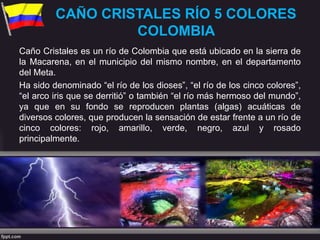 CAÑO CRISTALES RÍO 5 COLORES
COLOMBIA
Caño Cristales es un río de Colombia que está ubicado en la sierra de
la Macarena, en el municipio del mismo nombre, en el departamento
del Meta.
Ha sido denominado “el río de los dioses”, “el río de los cinco colores”,
“el arco iris que se derritió” o también “el río más hermoso del mundo”,
ya que en su fondo se reproducen plantas (algas) acuáticas de
diversos colores, que producen la sensación de estar frente a un río de
cinco colores: rojo, amarillo, verde, negro, azul y rosado
principalmente.
 