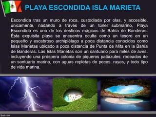 PLAYA ESCONDIDA ISLA MARIETA
Escondida tras un muro de roca, custodiada por olas, y accesible,
únicamente, nadando a través de un túnel submarino, Playa
Escondida es uno de los destinos mágicos de Bahía de Banderas.
Ésta exquisita playa se encuentra oculta como un tesoro en un
pequeño y escabroso archipiélago a poca distancia conocidos como
Islas Marietas ubicado a poca distancia de Punta de Mita en la Bahía
de Banderas. Las Islas Marietas son un santuario para miles de aves,
incluyendo una próspera colonia de piqueros patiazules; rodeados de
un santuario marino, con aguas repletas de peces, rayas, y todo tipo
de vida marina.
 