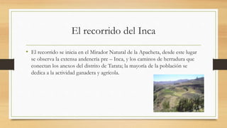 El recorrido del Inca
• El recorrido se inicia en el Mirador Natural de la Apacheta, desde este lugar
se observa la extensa andenería pre – Inca, y los caminos de herradura que
conectan los anexos del distrito de Tarata; la mayoría de la población se
dedica a la actividad ganadera y agrícola.
 