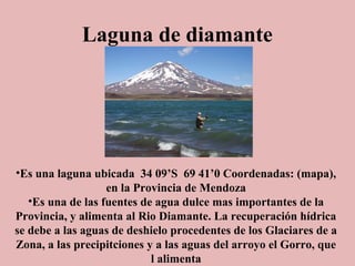 Laguna de diamante

•Es una laguna ubicada 34 09’S 69 41’0 Coordenadas: (mapa),
en la Provincia de Mendoza
•Es una de las fuentes de agua dulce mas importantes de la
Provincia, y alimenta al Rio Diamante. La recuperación hídrica
se debe a las aguas de deshielo procedentes de los Glaciares de a
Zona, a las precipitciones y a las aguas del arroyo el Gorro, que
l alimenta

 