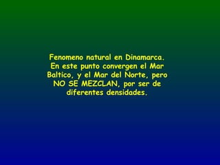 Fenomeno natural en Dinamarca.
 En este punto convergen el Mar
Baltico, y el Mar del Norte, pero
  NO SE MEZCLAN, por ser de
      diferentes densidades.
 