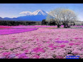 Lugares Incríveis #2!