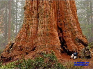 Lugares Incríveis #2!