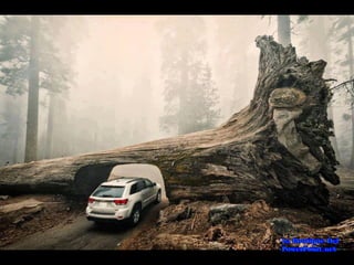 Lugares Incríveis #2!