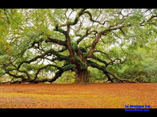 Lugares Incríveis #2!