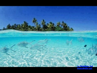 Lugares Incríveis #2!