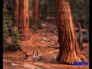 Lugares Incríveis #2!