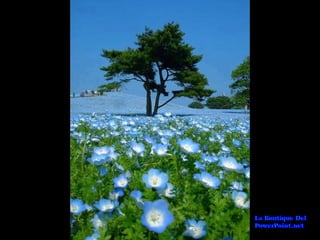 Lugares Incríveis #2!