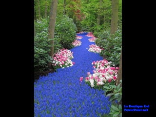 Lugares Incríveis #2!