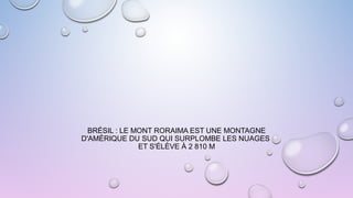 BRÉSIL : LE MONT RORAIMA EST UNE MONTAGNE
D'AMÉRIQUE DU SUD QUI SURPLOMBE LES NUAGES
ET S'ÉLÈVE À 2 810 M
 