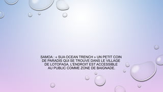 SAMOA : « SUA OCEAN TRENCH » UN PETIT COIN
DE PARADIS QUI SE TROUVE DANS LE VILLAGE
DE LOTOFAGA, L'ENDROIT EST ACCESSIBLE
AU PUBLIC COMME ZONE DE BAIGNADE.
 
