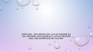 PORTUGAL : SÃO MIGUEL EST LA PLUS GRANDE ÎLE
DE L'ARCHIPEL DES AÇORES ET LA PLUS PEUPLÉE
AVEC UNE SUPERFICIE DE 744,6 KM² .
 