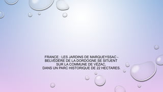 FRANCE : LES JARDINS DE MARQUEYSSAC -
BELVÉDÈRE DE LA DORDOGNE SE SITUENT
SUR LA COMMUNE DE VÉZAC,
DANS UN PARC HISTORIQUE DE 22 HECTARES.
 