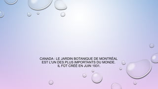 CANADA : LE JARDIN BOTANIQUE DE MONTRÉAL
EST L'UN DES PLUS IMPORTANTS DU MONDE.
IL FÛT CRÉÉ EN JUIN 1931.
 