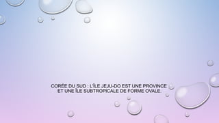 CORÉE DU SUD : L'ÎLE JEJU-DO EST UNE PROVINCE
ET UNE ÎLE SUBTROPICALE DE FORME OVALE.
 