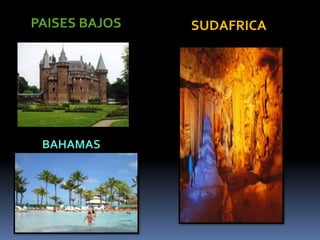 PAISES BAJOS
BAHAMAS
SUDAFRICA
 