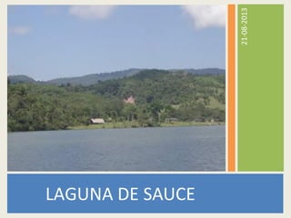 21-08-2013
LAGUNA DE SAUCE
 