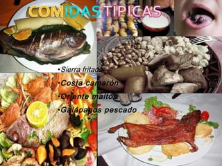 •Sierra fritada
•Costa camarón
•Oriente maitos
•Galápagos pescado

 