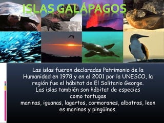 Las islas fueron declaradas Patrimonio de la
Humanidad en 1978 y en el 2001 por la UNESCO, la
región fue el hábitat de El Solitario George.
Las islas también son hábitat de especies
como tortugas
marinas, iguanas, lagartos, cormoranes, albatros, leon
es marinos y pingüinos.

 