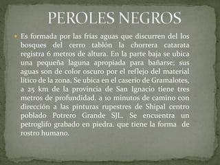  Es formada por las frías aguas que discurren del los
bosques del cerro tablón la chorrera catarata
registra 6 metros de altura. En la parte baja se ubica
una pequeña laguna apropiada para bañarse; sus
aguas son de color oscuro por el reflejo del material
lítico de la zona, Se ubica en el caserío de Gramalotes,
a 25 km de la provincia de San Ignacio tiene tres
metros de profundidad. a 10 minutos de camino con
dirección a las pinturas rupestres de Shipal centro
poblado Potrero Grande SJL. Se encuentra un
petroglifo grabado en piedra. que tiene la forma de
rostro humano.
 