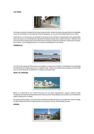 LAS PEÑAS
Una larga escalinata rodeada de hermosas casas yfaroles,tiendas de artesanías ygente llena de algarabía,
hacen de Las Peñas un sitio ideal de visita en Guayaquil, es muy recomendable hacerlo en la noche.
Usted tiene a su disposición una variedad de espacios para el disfrute, la degustación de la gastronomía
típica del puerto y la posibilidad de imaginarse los ataques piratas de los siglos anteriores. Desde la cima
un enorme faro le espera para contemplar la hermosaygran ciudad que se levanta a orillas del río Guayas.
No lo olvide, si va a Guayaquil pase un momento muy divertido en Las Peñas.
PEDERNALES
Las hermosas playas de Pedernales se encuentran a pocas horas de Quito, brindándonos la oportunidad
de disfrutar de sus cálidas aguas ysus magníficas olas. Existe una infraestructura hotelera y de alimentos
que nos permite pasar a lo grande sin mayores preocupaciones.
BAHÍA DE CARÁQUEZ
Bahía no solamente es una ciudad hermosa con una playa espectacular y segura, además posee
manglares,bosques secos tropicales ypremontanos ysitios arqueológicos que brindan a los visitantes una
extensa oferta para su deleite.
Se puede practicar kayak, surf,windsurfing;observar las ballenas entre junio yseptiembre,visitar el refugio
de vida silvestre de la Isla Corazón donde se encuentran más de 100 especies de aves.
ZARUMA
 