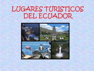 LUGARES TURISTICOS
DEL ECUADOR
 