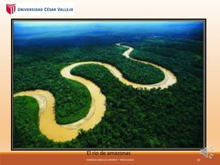 El rio de amazonas
VANESSA ANGELES APONTE * PSICOLOGIA 10
 