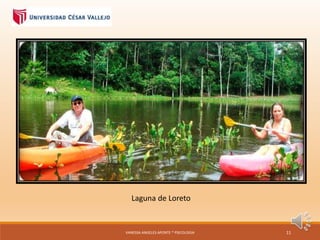 Laguna de Loreto
VANESSA ANGELES APONTE * PSICOLOGIA 11
 