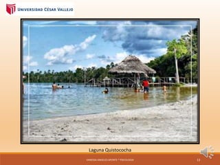 Laguna Quistococha
VANESSA ANGELES APONTE * PSICOLOGIA 13
 