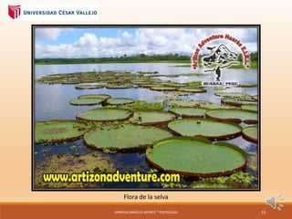 Flora de la selva
VANESSA ANGELES APONTE * PSICOLOGIA 15
 