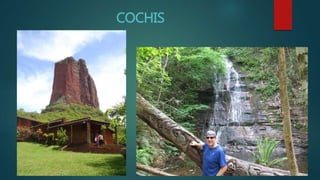 COCHIS
 