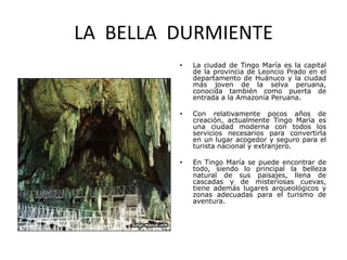 LA  BELLA  DURMIENTELa ciudad de Tingo María es la capital de la provincia de Leoncio Prado en el departamento de Huánuco y la ciudad más joven de la selva peruana, conocida también como puerta de entrada a la Amazonía Peruana.Con relativamente pocos años de creación, actualmente Tingo María es una ciudad moderna con todos los servicios necesarios para convertirla en un lugar acogedor y seguro para el turista nacional y extranjero.En Tingo María se puede encontrar de todo, siendo lo principal la belleza natural de sus paisajes, llena de cascadas y de misteriosas cuevas, tiene además lugares arqueológicos y zonas adecuadas para el turismo de aventura.