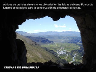 Abrigos de grandes dimensiones ubicadas en las faldas del cerro Pumunuta 
lugares estratégicos para la conservación de productos agrícolas. 
CUEVAS DE PUMUNUTA 
 