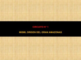 CIRCUITO N° 1 
MISMI, ORIGEN DEL GRAN AMAZONAS 
 