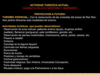 ACTIVIDAD TURISTICA ACTUAL: 
CAMINATA EN ALTA MONTAÑA Y ANDINISMO 
PROYECCION A FUTURO: 
TURISMO VIVENCIAL.- Con la restauración de las viviendas del anexo de Ran Ran, 
bien podría ofrecerse esta modalidad de turismo. 
Actividades turísticas que pueden desarrollarse: 
. Observación de aves nativas: gallareta andina (ajuya), el ganso andino 
(wallata), flamenco (pariguana), pato cordillerano, gaviota, etc. 
. Observación de plantas medicinales: chachacoma, salvia, yareta, sasawi, etc. 
. Paseos a caballo 
. Ciclismo 
. Canotaje en la laguna Ajuyani 
. Caminata con llamas cargueras 
. Excursiones 
. Pesca de trucha 
. Pastoreo y manejo de camélidos. 
. Festival gastronómico 
. Festividad religiosa: San Antonio, Inmaculada Concepción. 
. Feria alpaquera 
. Rituales místicos: pago a la Pachamama o a los Apus. 
 