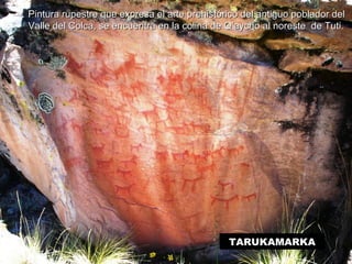 Pintura rupestre que expresa el arte prehistórico del antiguo ppoobbllaaddoorr ddeell 
VVaallllee ddeell CCoollccaa,, ssee eennccuueennttrraa eenn llaa ccoolliinnaa ddee QQ’’aayycchhoo aall nnoorreessttee ddee TTuuttii.. 
TARUKAMARKA 
 