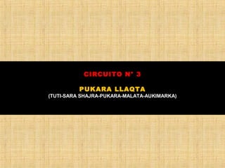 CIRCUITO N° 3 
PUKARA LLAQTA 
(TUTI-SARA SHAJRA-PUKARA-MALATA-AUKIMARKA) 
 