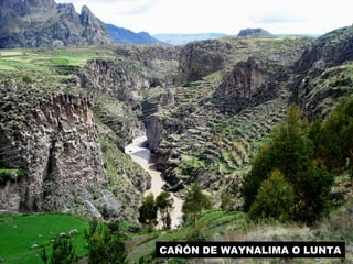 LUNTA 
CAÑÓN DE WAYNALIMA O LUNTA 
 