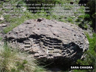 Piedra ritual ubicada en el cerro Turukunka, lugar de ccuullttoo aall aagguuaa yy llaa 
ffeerrttiilliiddaadd ddee llaa ttiieerrrraa;; ddoonnddee llooss aannttiigguuooss ppoobbllaaddoorreess ddeell CCoollccaa ddiisseeññaarroonn 
eell ssiisstteemmaa ddee rriieeggoo eenn llooss aannddeenneess ppaarraa eevviittaarr llaa eerroossiióónn ddeell ssuueelloo,, hhaacceerr 
bbuueenn uussoo ddeell aagguuaa yy ccrreeaarr uunn cclliimmaa aaddeeccuuaaddoo ppaarraa eell ccuullttiivvoo ddeell mmaaíízz.. 
SARA CHAQRA 
 
