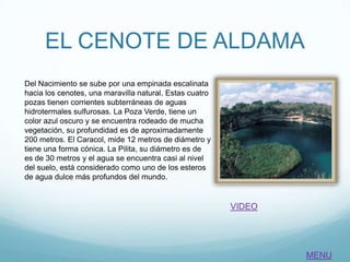 EL CENOTE DE ALDAMA
Del Nacimiento se sube por una empinada escalinata
hacia los cenotes, una maravilla natural. Estas cuatro
pozas tienen corrientes subterráneas de aguas
hidrotermales sulfurosas. La Poza Verde, tiene un
color azul oscuro y se encuentra rodeado de mucha
vegetación, su profundidad es de aproximadamente
200 metros. El Caracol, mide 12 metros de diámetro y
tiene una forma cónica. La Pilita, su diámetro es de
es de 30 metros y el agua se encuentra casi al nivel
del suelo, está considerado como uno de los esteros
de agua dulce más profundos del mundo.
VIDEO
MENU
 