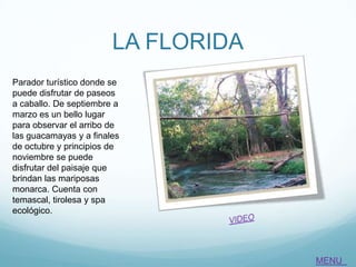 LA FLORIDA
Parador turístico donde se
puede disfrutar de paseos
a caballo. De septiembre a
marzo es un bello lugar
para observar el arribo de
las guacamayas y a finales
de octubre y principios de
noviembre se puede
disfrutar del paisaje que
brindan las mariposas
monarca. Cuenta con
temascal, tirolesa y spa
ecológico.
MENU
 