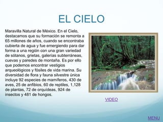 EL CIELO
Maravilla Natural de México. En el Cielo,
destacamos que su formación se remonta a
65 millones de años, cuando se encontraba
cubierta de agua y fue emergiendo para dar
forma a una región con una gran variedad
de sótanos, grietas, galerías subterráneas,
cuevas y paredes de montaña. Es por ello
que podemos encontrar vestigios
arqueológicos y fósiles de vida marina. Su
diversidad de flora y fauna silvestre única
incluye 92 especies de mamíferos, 430 de
aves, 25 de anfibios, 60 de reptiles, 1,128
de plantas, 72 de orquídeas, 924 de
insectos y 481 de hongos.
VIDEO
MENU
 