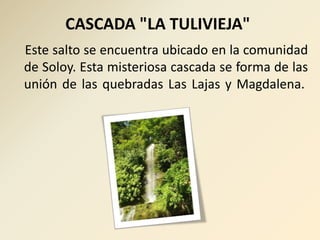 CASCADA "LA TULIVIEJA"
Este salto se encuentra ubicado en la comunidad
de Soloy. Esta misteriosa cascada se forma de las
unión de las quebradas Las Lajas y Magdalena.
 