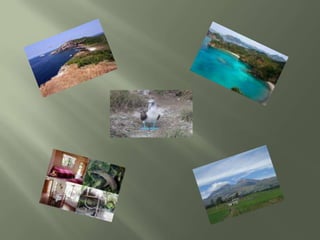 Catedral de Portoviejo Portoviejo es una hermosa ciudad, capital de la provincia de Manabí. Portoviejo se funda con el nombre del Emperador Carlos V de Austria y I de España, el nombre de San Gregorio de Portoviejo es en homenaje al gran Pontífice de la Iglesia Católica. Posee una hermosa Catedral, Cuya construcción comenzó el año 1956 y fue inaugurada el año 1980. Es considerada como una maravillosa obra de arquitectura.