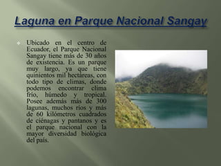 Cascadas en Mindo Mindo es un pequeño y lindo pueblo ubicado a dos horas de Quito. Posee muchos caminos ecológicos de paseos en los alrededores, donde se pueden encontrar hermosas cascadas, como la de la foto, montañas y sitios de pesca, como también cuenta con un hermoso Jardín de orquídeas y mariposario muy visitado por los turistas.