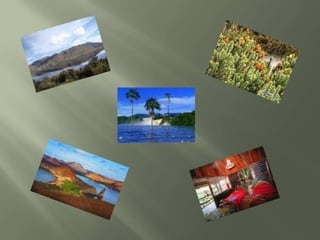 Basílica de Agua Santa La ciudad de Baños se encuentra localizada en la provincia de Tungurahua, a tres horas al sur de la ciudad de Quito. Es la ciudad que más turistas atrae ya que posee un clima caliente húmedo con una temperatura media de 18 grados C. En la plaza central se encuentra la Basílica del Agua Santa y en el interior hay una colección de murales que describen los milagros locales, atribuidos a la Virgen de las Aguas Santas, la patrona de la ciudad.