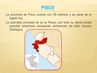 pisco La provincia de Pisco cuenta con 08 distritos y es parte de la región Ica. La actividad principal de es la Pesca, por todo su litoral posee grandes empresas pesqueras extractoras de este recurso ictiológico. 
