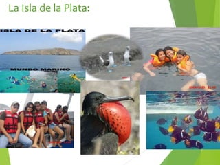 La Isla de la Plata:
 